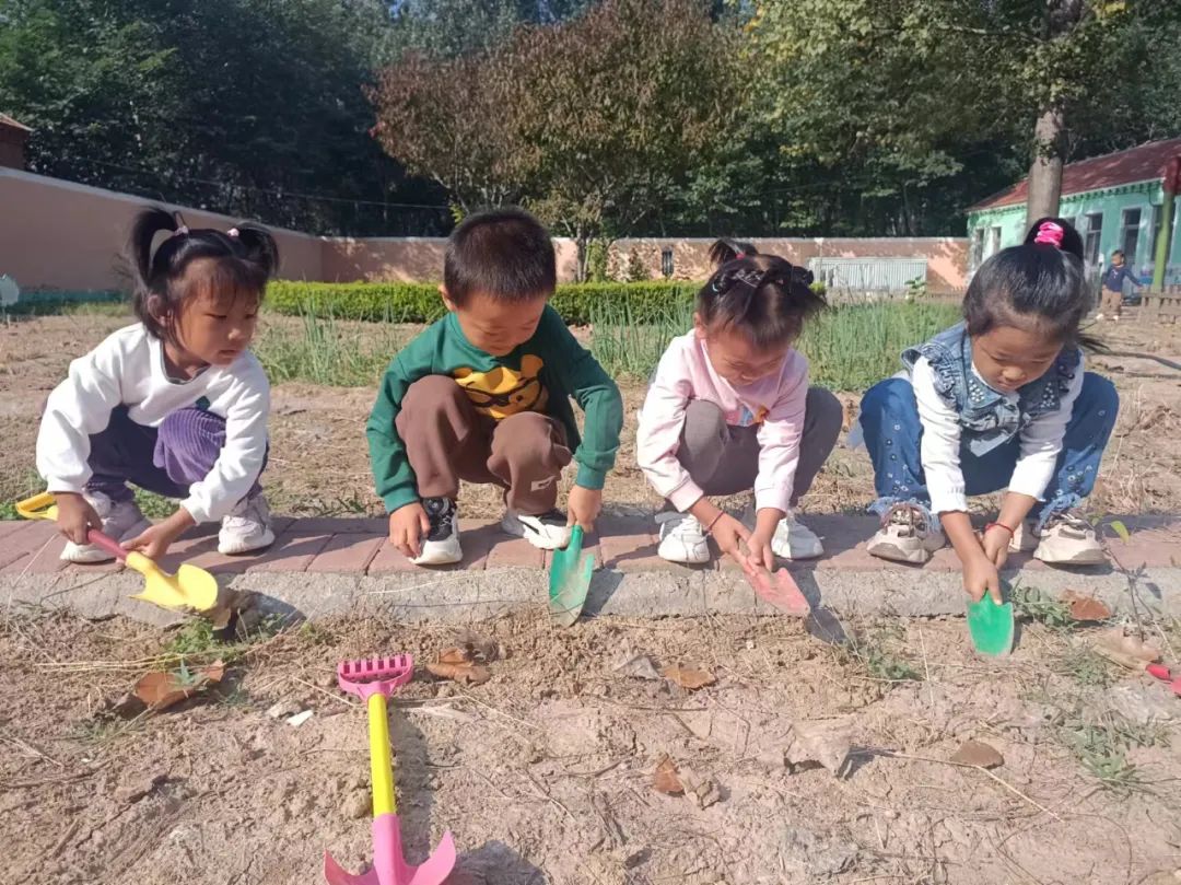 【自主课程—生命生长课程】“蒜”你可爱——城幼（李家园区）小中班幼儿课程故事-幼师课件网第112张图片