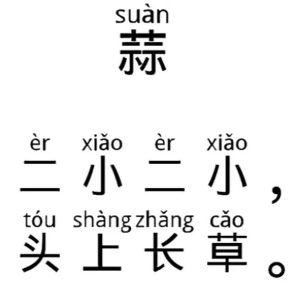 【自主课程—生命生长课程】“蒜”你可爱——城幼（李家园区）小中班幼儿课程故事-幼师课件网第208张图片