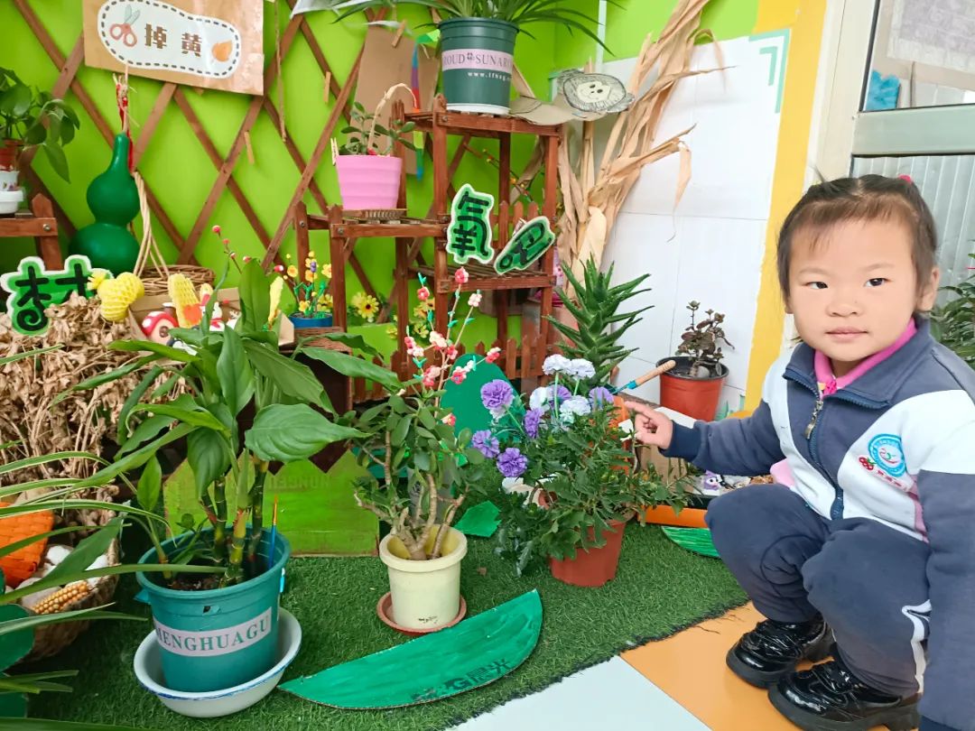 【自主课程—生命生长课程】“蒜”你可爱——城幼（李家园区）小中班幼儿课程故事-幼师课件网第99张图片