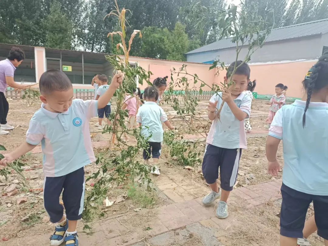 【自主课程—生命生长课程】“蒜”你可爱——城幼（李家园区）小中班幼儿课程故事-幼师课件网第108张图片