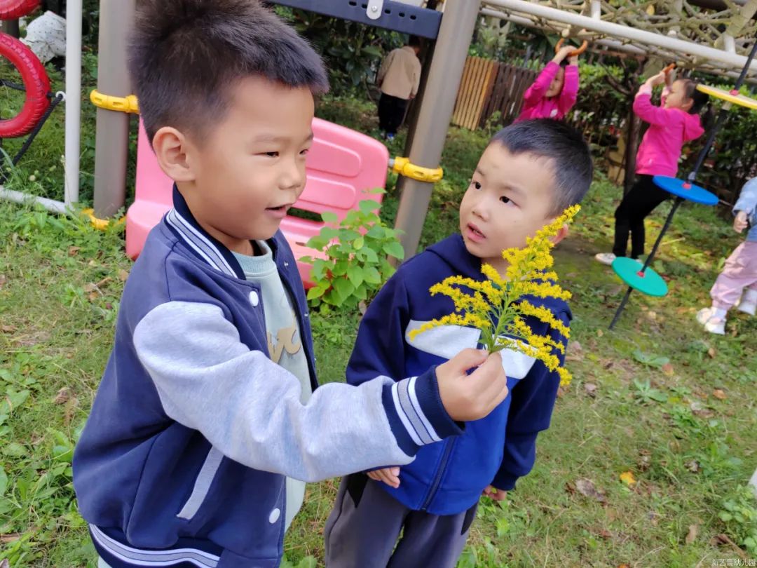 奇“撕”妙想   “纸”趣无穷——新艺晨幼儿园中二班班本课程故事-幼师课件网第52张图片