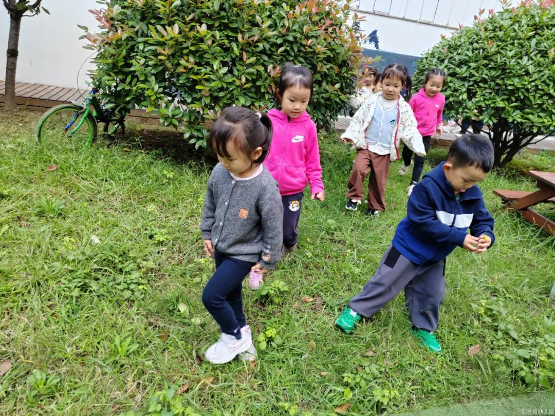 奇“撕”妙想   “纸”趣无穷——新艺晨幼儿园中二班班本课程故事-幼师课件网第53张图片