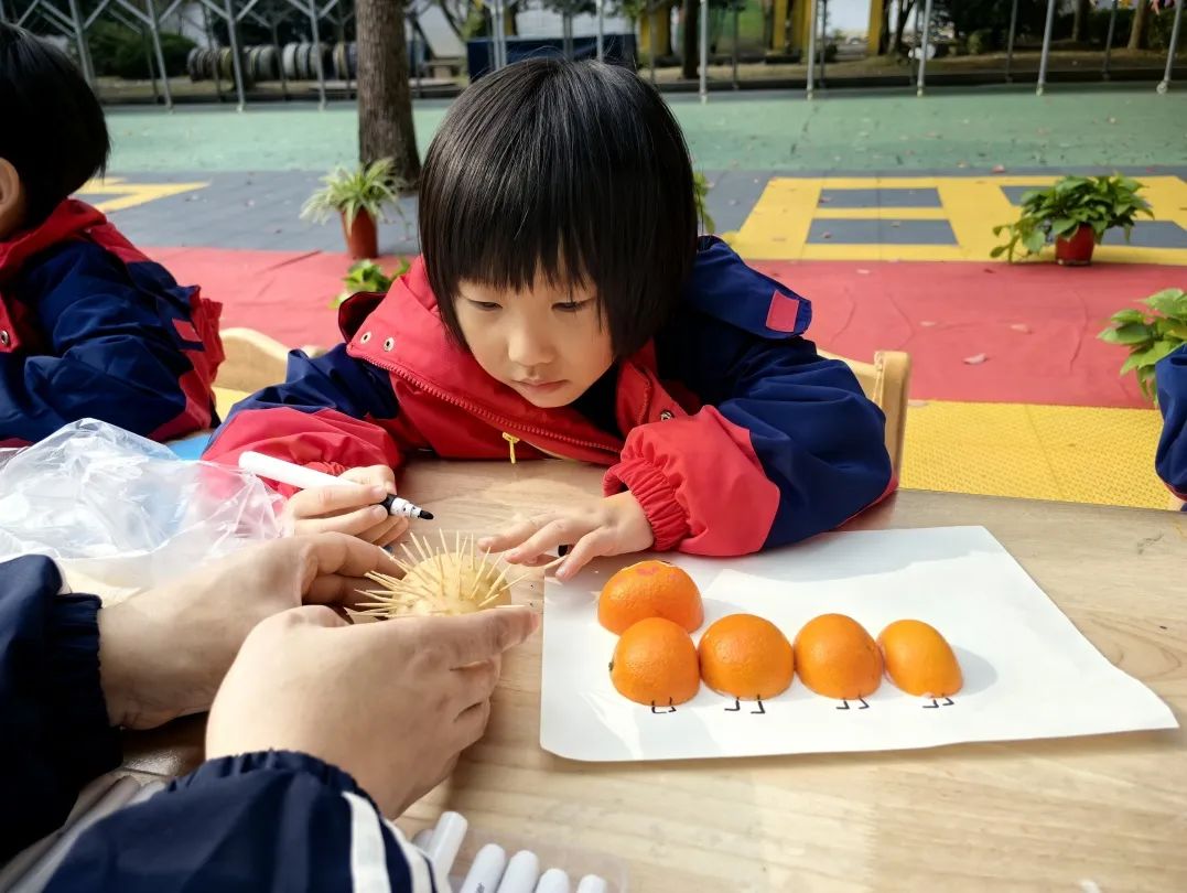 学前频道 || 课程故事展示：《共赴美好“食”光》-幼师课件网第26张图片