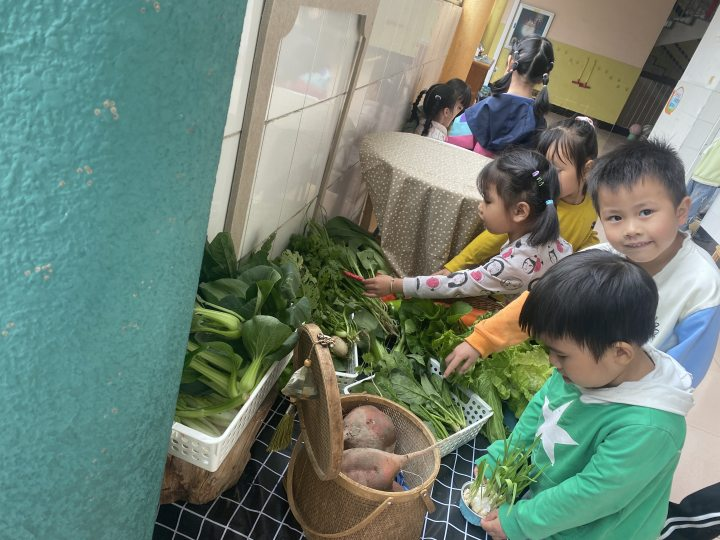 学前频道 || 课程故事展示：《共赴美好“食”光》-幼师课件网第14张图片