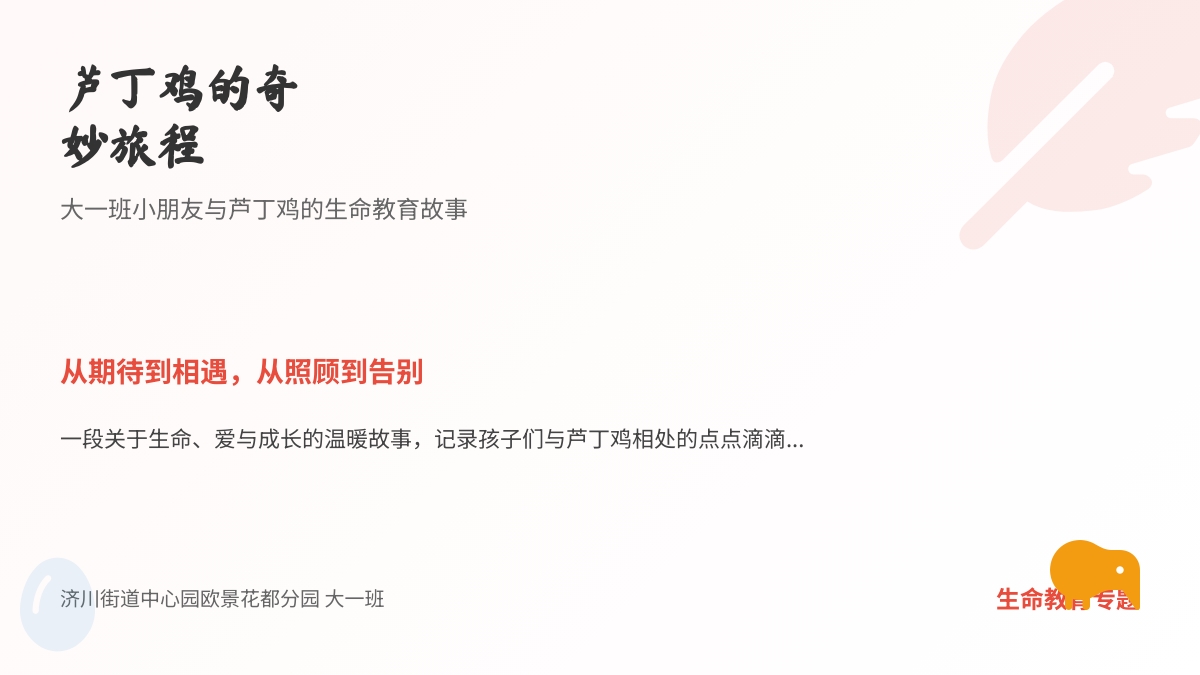 【课程故事】芦丁鸡上学记