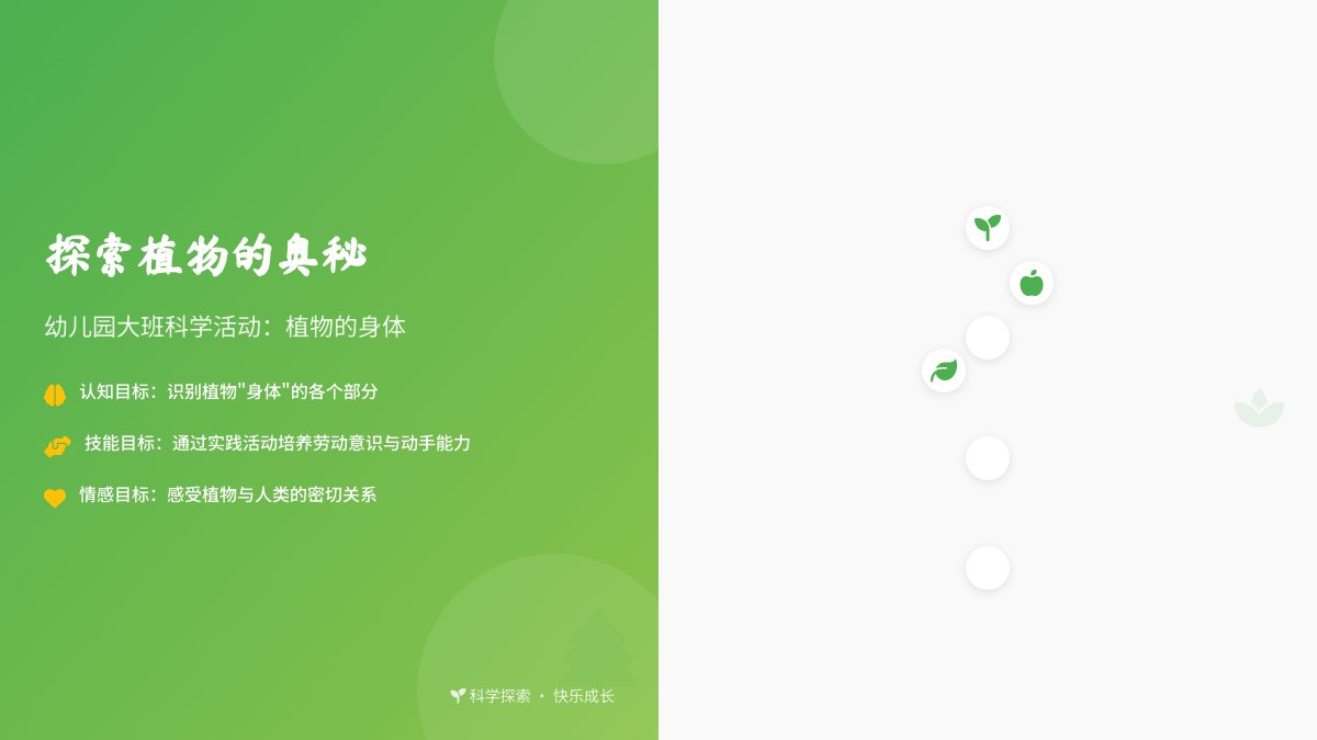 幼儿园大班科学活动教案：植物的身体