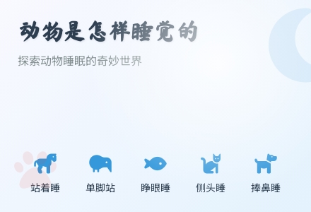 幼儿园大班科学教案：动物是怎样睡觉的-幼师课件网