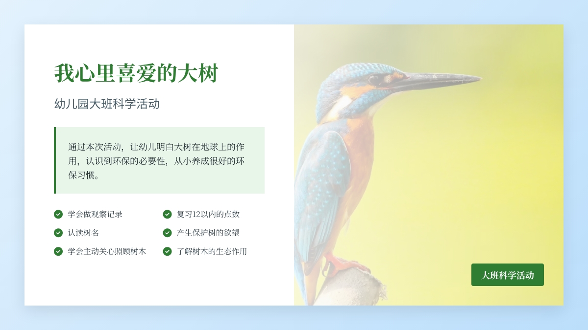 幼儿园大班科学活动：我心里喜爱的大树