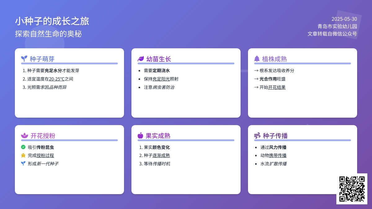 “书润童心”声画阅读之“经典图画书阅读”丨①《小种子》