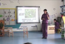 获奖公开课视频 | 大班科学领域科学活动《认识蚯蚓》-幼师课件网