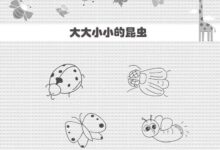 我们一起学画画——昆虫大战-幼师课件网