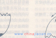 优秀科学教案：神奇的蛋壳（图）-幼师课件网