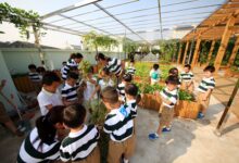 虞永平|幼儿园课程资源挖掘和利用的问题及解决思路-幼师课件网