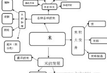 幼儿园大班主题活动教案：米-幼师课件网