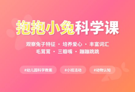幼儿园小班科学优秀教案《抱抱小兔》-幼师课件网