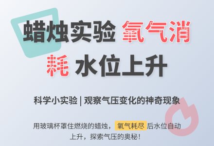 幼儿园科学小实验：会吸水的杯子-幼师课件网