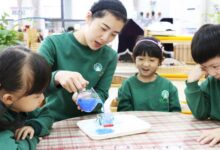 学者视线 | 对幼儿园质量评价外包给“第三方”的审思-幼师课件网