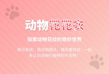幼儿园小班教案《动物花花衣》含反思-幼师课件网
