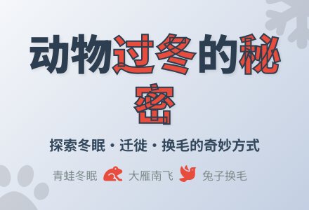 幼儿园大班科学活动：《小动物过冬》-幼师课件网