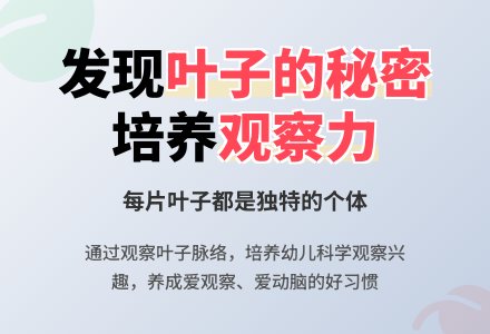 幼儿园大班科学活动：奇妙的叶子-幼师课件网