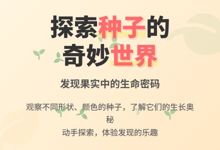 幼儿园大班科学活动：种子藏在哪里-幼师课件网