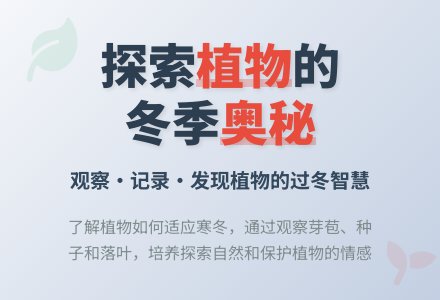 幼儿园大班科学活动：植物过冬-幼师课件网