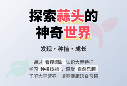 幼儿园大班科学教案：蒜孩子-幼师课件网