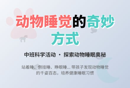 中班科学教案《动物睡觉》含反思-幼师课件网