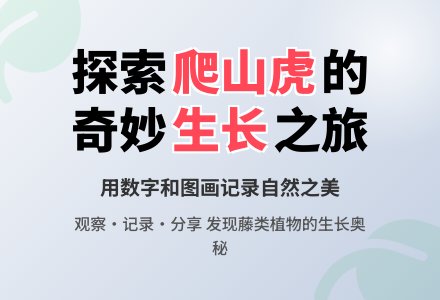 幼儿园大班科学教案：爬山虎长大了-幼师课件网