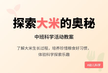 中班科学教案《好吃的大米》含反思-幼师课件网