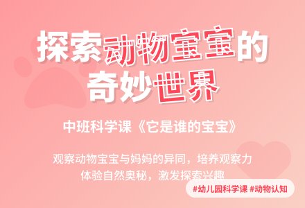 幼儿园中班科学课教案《它是谁的孩子》含反思-幼师课件网