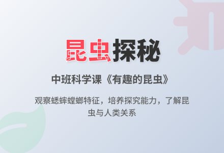 中班科学课教案《有趣的昆虫》含反思-幼师课件网