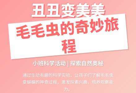 幼儿园小班科学教案活动《丑丑变美美》含反思-幼师课件网