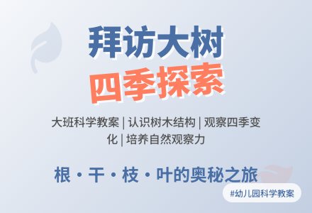 幼儿园大班优秀科学教案《拜访大树》含反思-幼师课件网