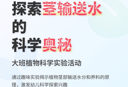 大班科学活动《茎输送水》说课稿-幼师课件网