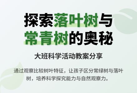 大班科学《落叶树与常青树》教案-幼师课件网