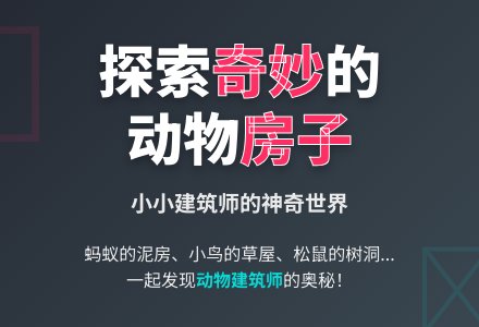 大班综合活动:奇妙的房子-幼师课件网