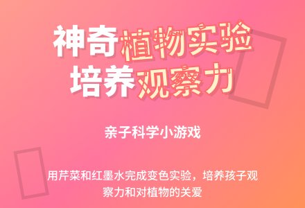 幼儿园大班游戏：芹菜实验(科学1)-幼师课件网
