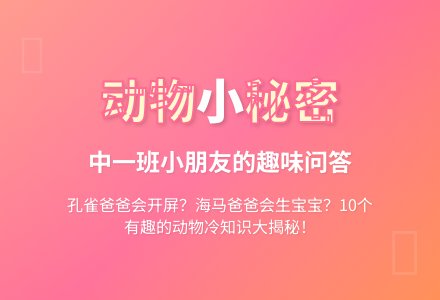 小朋友探索的动物秘密-幼师课件网