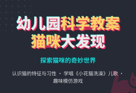 小班科学教案：猫咪大发现-幼师课件网