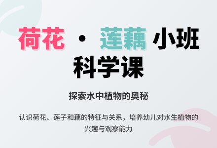 小班科学教案：认识荷花、莲、藕-幼师课件网