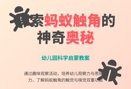 小班科学教案：蚂蚁的触角-幼师课件网