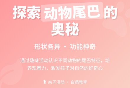 幼儿园小班科学教案：动物的尾巴-幼师课件网