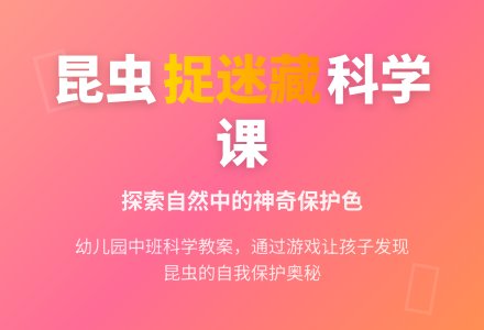 幼儿园中班科学教案：昆虫捉迷藏1-幼师课件网