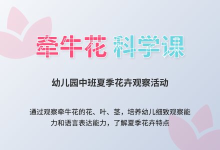 中班科学教案：牵牛花-幼师课件网