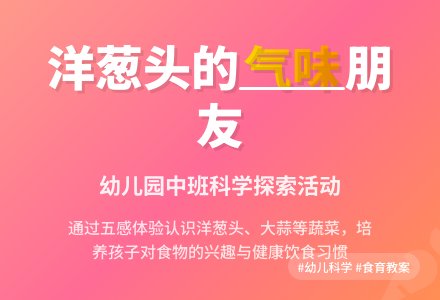 中班科学教案：洋葱头找朋友-幼师课件网