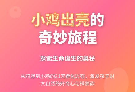 幼儿园中班科学活动设计：小鸡出壳了-幼师课件网