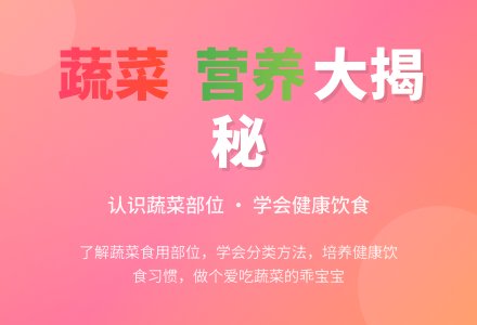 幼儿园中班常识活动教案――吃蔬菜什么部位-幼师课件网