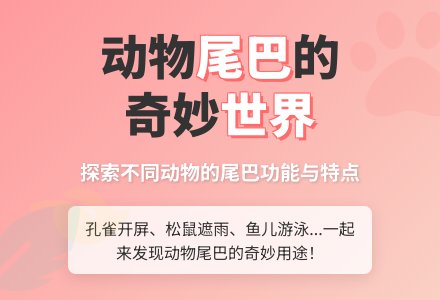 幼儿园中班语言教案：比尾巴-幼师课件网