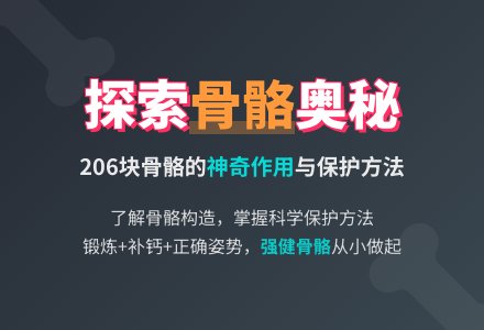 中班主题：人体的骨骼-幼师课件网